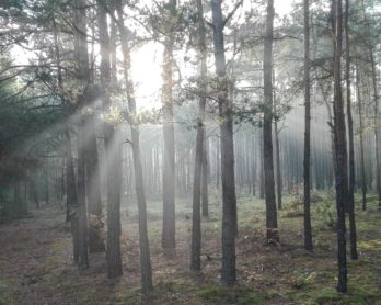 Dzisiaj nowelizacja KPC weszła w życie!