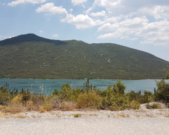 Odpowiedź na pozew w nowym KPC