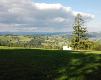 Posiedzenie przygotowawcze w postępowaniu cywilnym